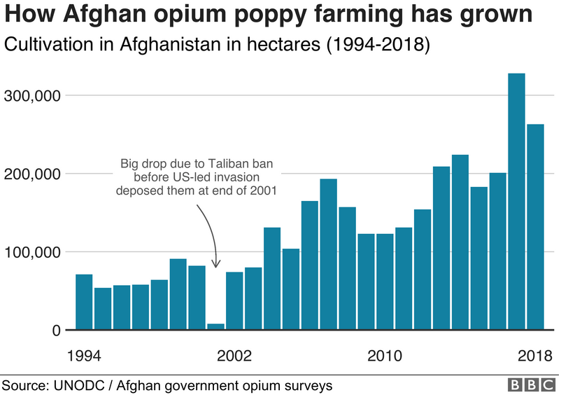 How Afghan opium farming expanded during US occupation
