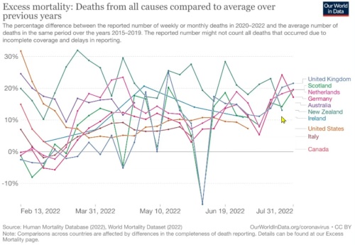 International excess deaths graph
